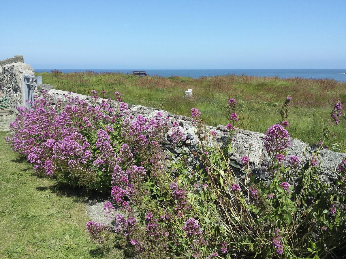 Villa Angorfa à Baie de Cemaes Extérieur photo
